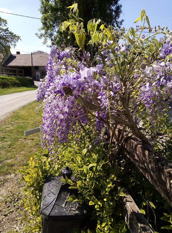 Le Beauregard Bed & Breakfast Ranes ภายนอก รูปภาพ